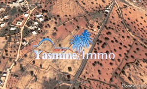 2600_m2.jpg